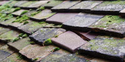 Cenarth roof repair costs
